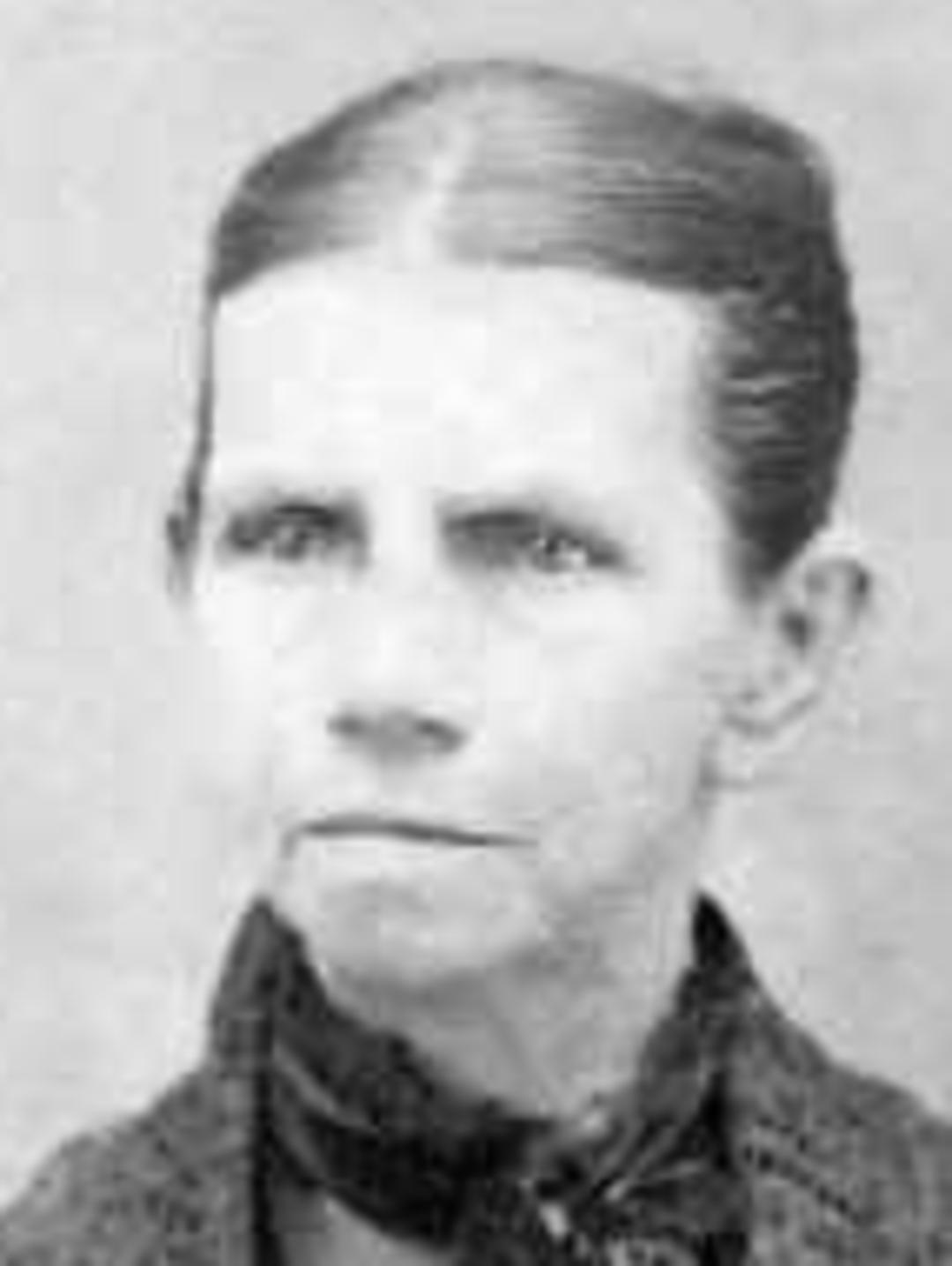 Elizabeth Lamont Sperry (1816 - 1884) Profile